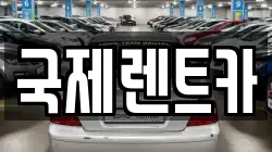 국제렌트카