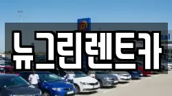 뉴그린렌트카