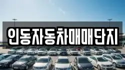 인동자동차매매단지