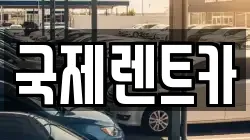 국제렌트카