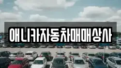 애니카자동차매매상사