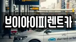 브이아이피렌트카