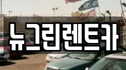 뉴그린렌트카