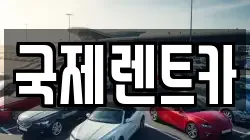 국제렌트카