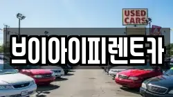 브이아이피렌트카