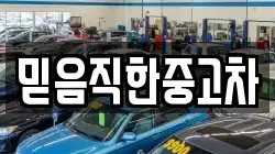 믿음직한중고차