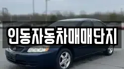 인동자동차매매단지
