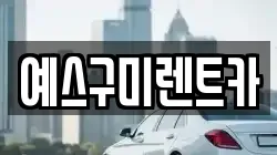 경북 구미시 임은동 렌트카,단기렌트카,장기렌트카,중고차,중고차매매,중고차매입