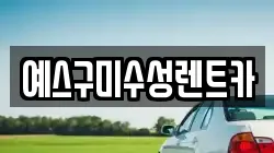 경북 구미시 황상동 렌트카,단기렌트카,장기렌트카,중고차,중고차매매,중고차매입