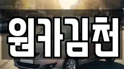 경북 김천시 덕곡동 렌트카,단기렌트카,장기렌트카,중고차,중고차매매,중고차매입
