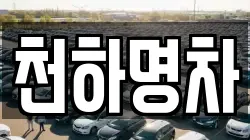 천하명차