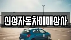 신성자동차매매상사