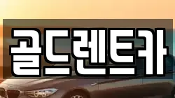 골드렌트카