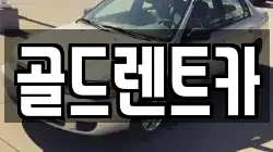 골드렌트카