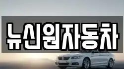 뉴신원자동차