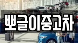뽀글이중고차