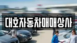 대호자동차매매상사
