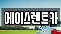 에이스렌트카