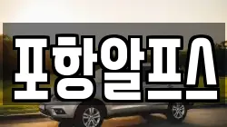 포항알프스