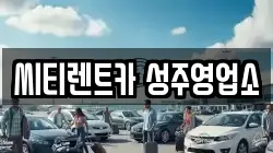 씨티렌트카 성주영업소
