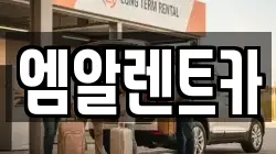 경북 성주군 선남면 렌트카,단기렌트카,장기렌트카,중고차,중고차매매,중고차매입