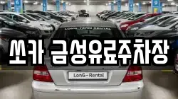 쏘카 금성유료주차장