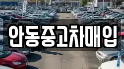 안동중고차매입