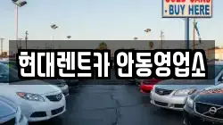 경북 안동시 대석동 렌트카,단기렌트카,장기렌트카,중고차,중고차매매,중고차매입