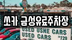쏘카 금성유료주차장