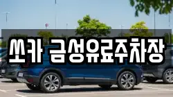 쏘카 금성유료주차장