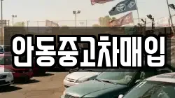 안동중고차매입