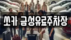 쏘카 금성유료주차장