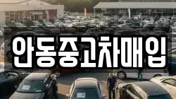 안동중고차매입