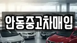 안동중고차매입