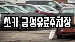 쏘카 금성유료주차장