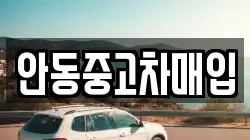 안동중고차매입