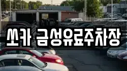 쏘카 금성유료주차장