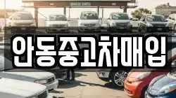 안동중고차매입