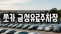 쏘카 금성유료주차장