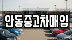 안동중고차매입