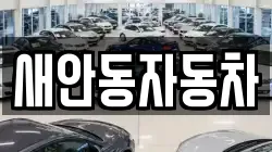 새안동자동차