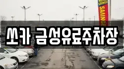 쏘카 금성유료주차장