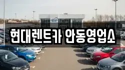 경북 안동시 신세동 렌트카,단기렌트카,장기렌트카,중고차,중고차매매,중고차매입