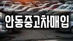 안동중고차매입