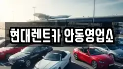 경북 안동시 안기동 렌트카,단기렌트카,장기렌트카,중고차,중고차매매,중고차매입