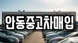 안동중고차매입