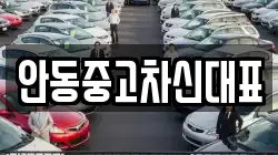 안동중고차신대표