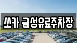 쏘카 금성유료주차장