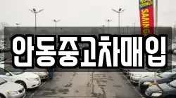 안동중고차매입