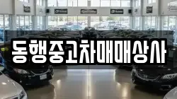 동행중고차매매상사